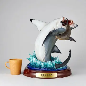 한정품 카이요도 호호지로자메 네이처 테일즈 NATURE TALES