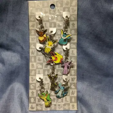 전국 도감 메탈 참 이브이와 진화계 8개 세트