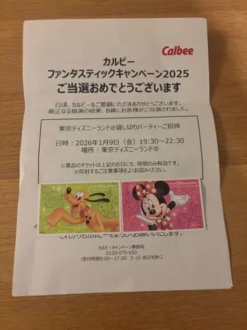 도쿄 디즈니랜드 대관 2인분