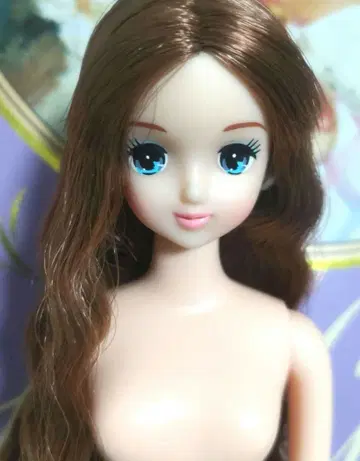 리카짱 캐슬 즐거운 인형 제니 프렌드 로벨리아