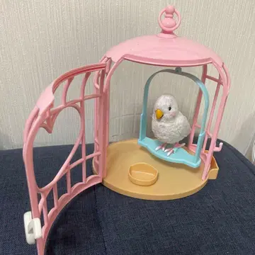 재잘재잘 앵무새