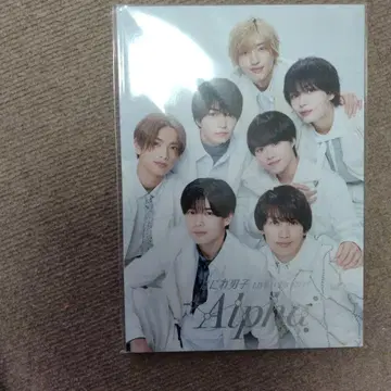 나니와단시 #팜플렛 #Alpha #LIVE2024