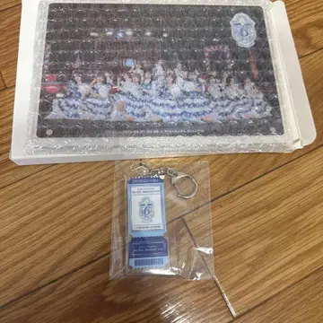 6번째 히나탄사이 특전 2종 키링 & 사진 아크릴 플레이트 히나타자카46