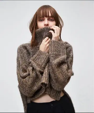 cygne 시뉴 라메 숏 니트 풀오버 brown