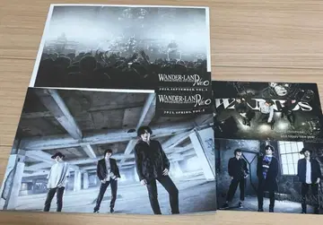 WANDS / WANDER-LAND NEO 뉴스레터 카드