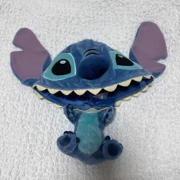 스티치 디즈니 팬캡