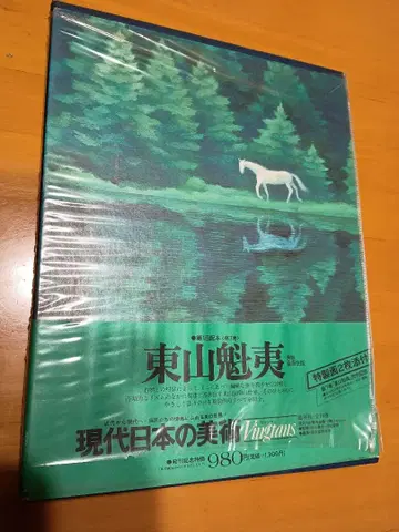 히가시야마 카이이 아트북