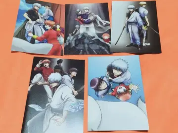 은혼 자켓 5장 세트 사카타 긴토키