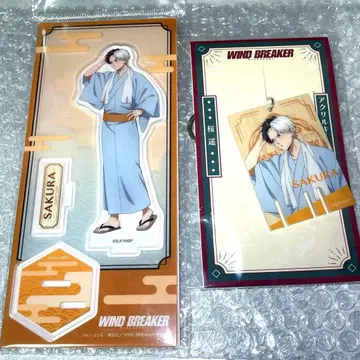 WIND BREAKER 사쿠라 하루카 가을 채색 유카타