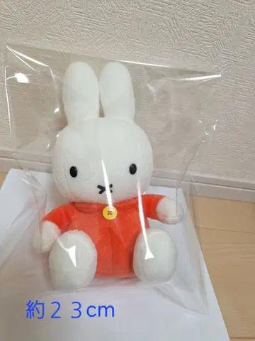 미피 봉제 인형 세키구치