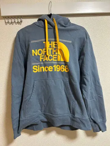 THE NORTH FACE 후드티