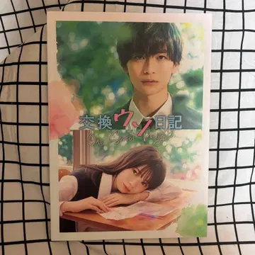 교환 우소일기 팜플렛