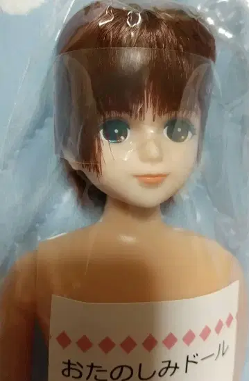 리카짱 보이프렌드 렌 군 오타노시미 인형 리카짱 캐슬