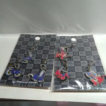 포켓몬 메탈 참 미라이돈과 코라이돈