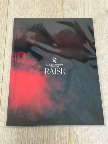 KOICHI DOMOTO RAISE 팜플렛 도모토 코이치
