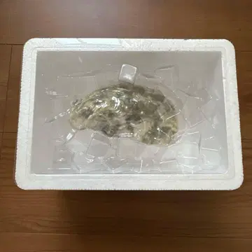 [ 미개봉 ] 재미있는 잡화 키케이스 프라이스