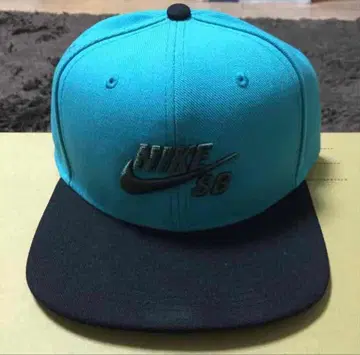 Nike SB 캡