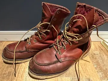 레드윙 아이리쉬 세터 반원 그린 개 택 879 밑창 교환 완료