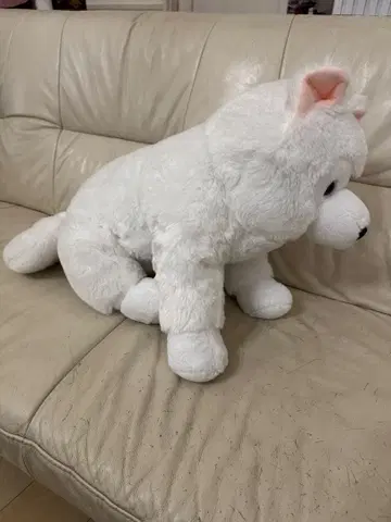 [ 새상품 ] 쿠타리 모사에도 군 기분 좋은 BIG 봉제 인형