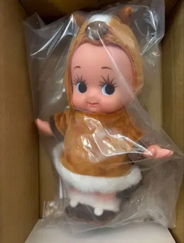 말띠 큐피 큐피 말띠 2026년