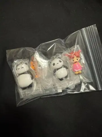 팬더코팬더 메지루시 액세서리 가챠가챠 익명 배송