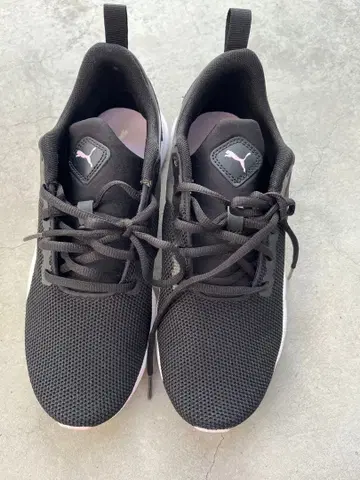 푸마 스니커즈 스포츠