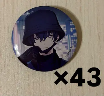 캔뱃지 43개