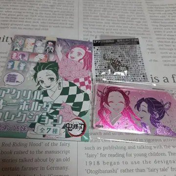 나비 자매 아크릴 키링