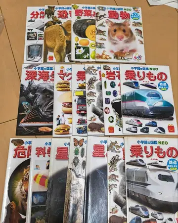 소학관의 도감 NEO 11권 세트