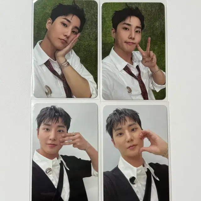 데이식스 데케이드 앨범 영케이 포카 성진 원필 도운 데니멀즈 쁘띠멀즈