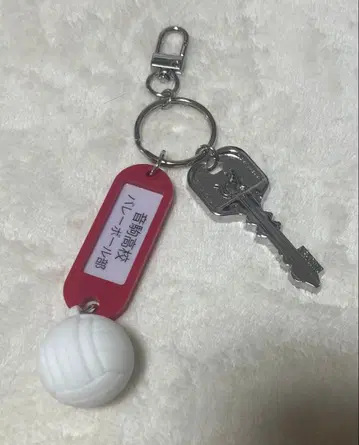 하이큐 트레이딩 고교명 포함 열쇠고리 네코마 고교