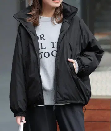 WILD THINGS x TAION x relume 리버서블 다운