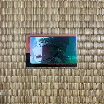 ALIENSTAGE 애니메이트 카페 특전 포토 카드 티르