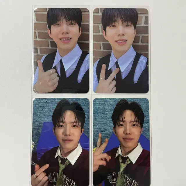 데이식스 데케이드 앨범 도운 포카 성진 영케이 원필 데니멀즈 쁘띠멀즈