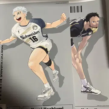 하이큐 V리그 V league 포스터 호시우미 헤이와지마