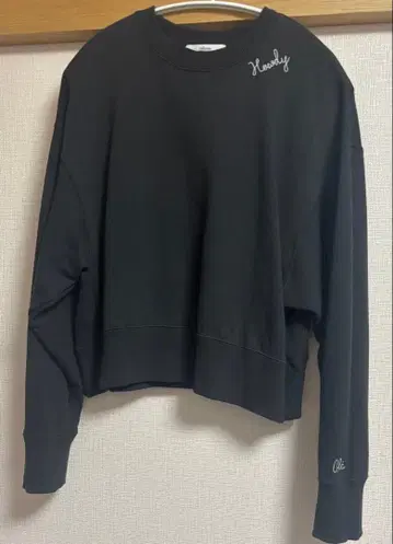 JOURNAL STANDARD relume 자수 로고 맨투맨