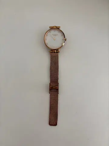 빅토리아 하이드 핑크 골드 메쉬 밴드 시계