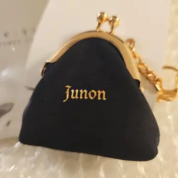 BE:FIRST JUNON 코인 케이스