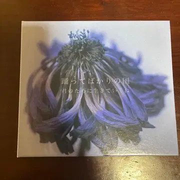 춤만 추는 나라 너를 위해 살아갈게