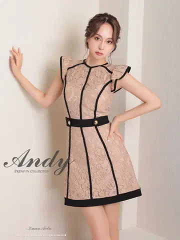 앤디 레이스 드레스 S 사이즈