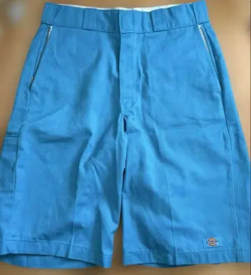 Dickies 하프 팬츠 스카이블루 31 척 포함