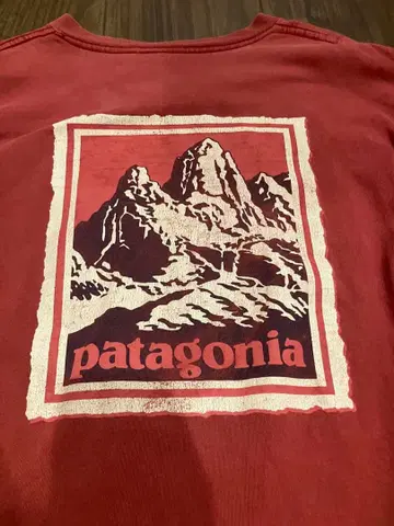 90s patagonia 롱T L 페이드