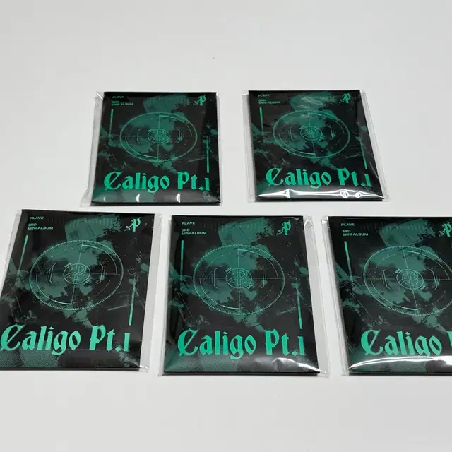 플레이브 칼리고(대쉬) 포카앨범 일괄 판매