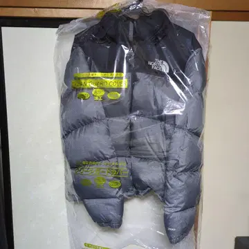 THE NORTH FACE 1996 레트로 눕시 700 다운 자켓