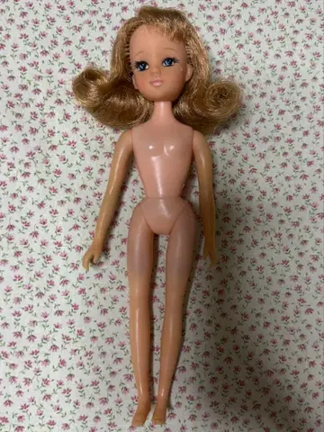 타카라 일본제 초대 이즈미짱