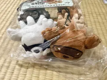 포켓몬 비슷한 것들 자석 페어 마스코트 지그재그마