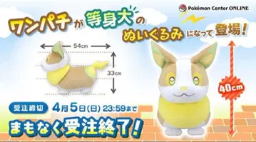 포켓몬 등신대 원패치 봉제 인형 포켓몬 센터 한정판 택 포함