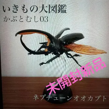 생물대도감 가부토무시03 네프튠오오카부토 미개봉