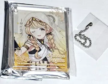 학원 아이돌 마스터 애니메이트 카페 코롯타 후지타 코토네