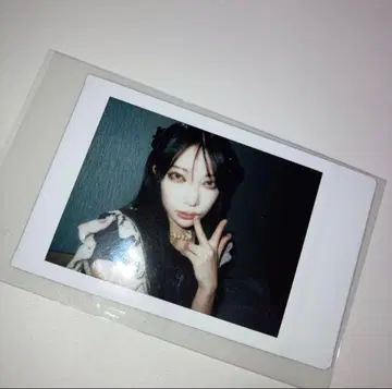 HAZE 악마의 키스 katy 란체키 폴라로이드 생일 katy